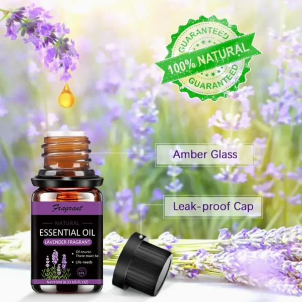 10ML Essential Oil Sets Hotel Floral Perfume for Humidifier Car Electric Aroma Diffuser Home Fragrance Oil Air Freshener - Image 2