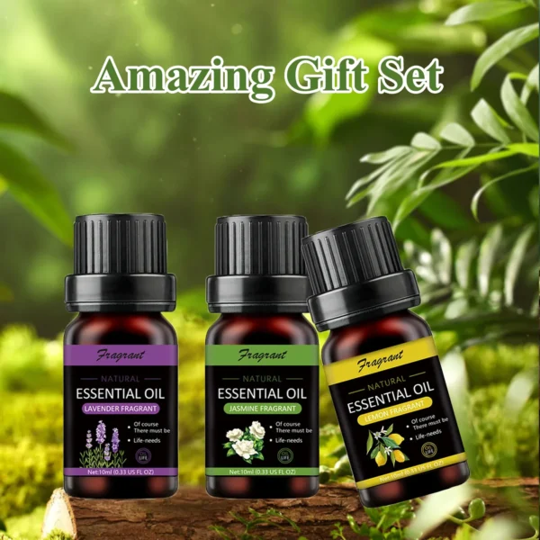 10ML Essential Oil Sets Hotel Floral Perfume for Humidifier Car Electric Aroma Diffuser Home Fragrance Oil Air Freshener - Image 5